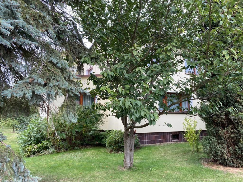 gemütliche Wohnung ** EISFELD **