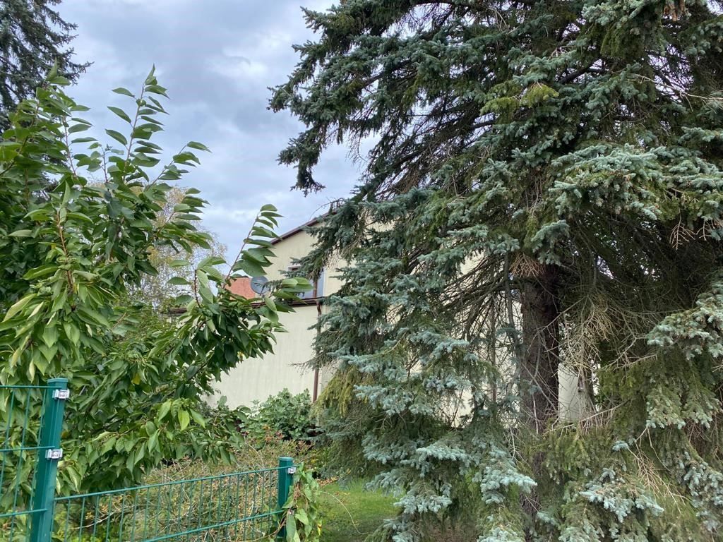 gemütliche Wohnung ** EISFELD **