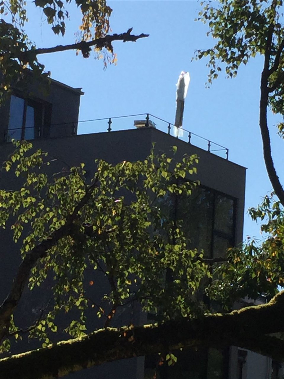 CO-CITY ** Penthouse / Studio Wohnung mit ca 20 m² DACHTERRASSE **