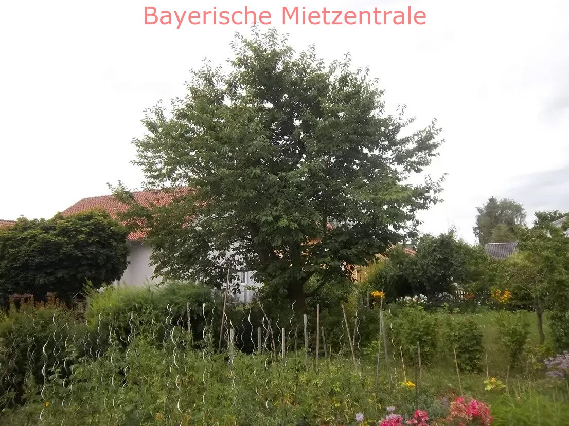 ***BAYERISCHE MIETZENTRALE: Gepflegtes, freistehendes Einfamilienhaus - Niedrigenergiebauweise!!!***