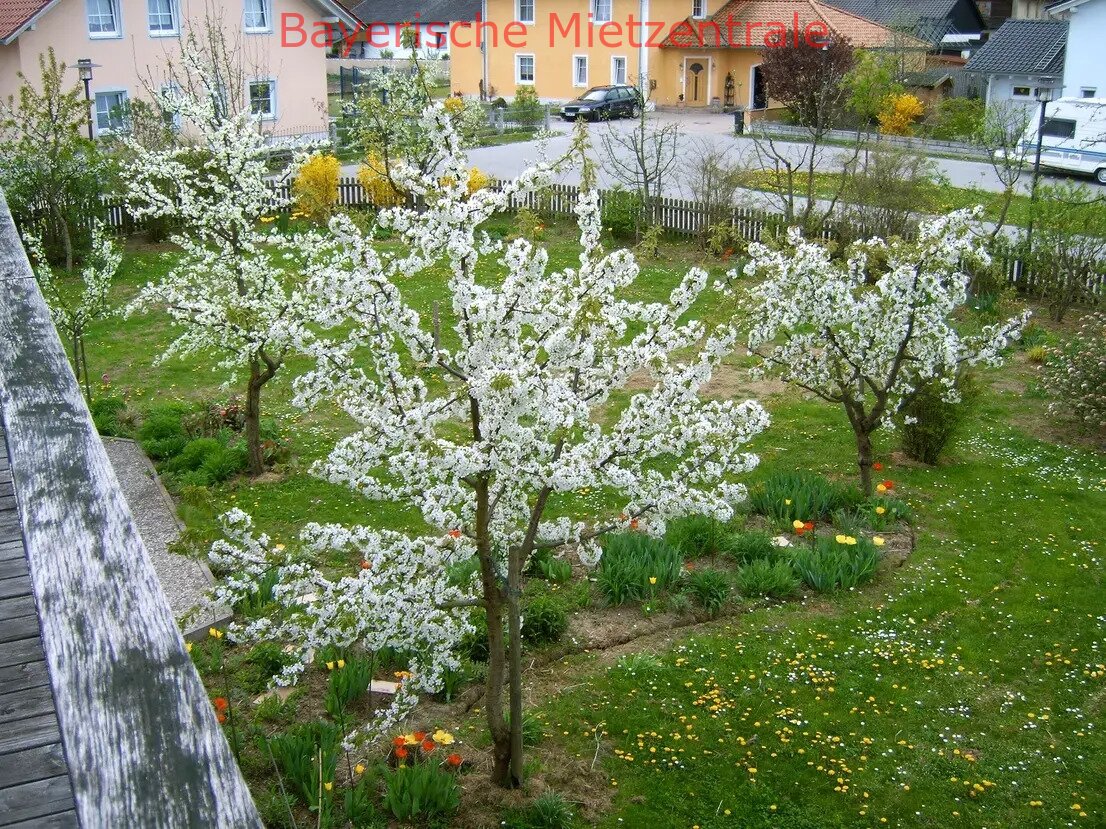 ***BAYERISCHE MIETZENTRALE: Gepflegtes, freistehendes Einfamilienhaus - Niedrigenergiebauweise!!!***