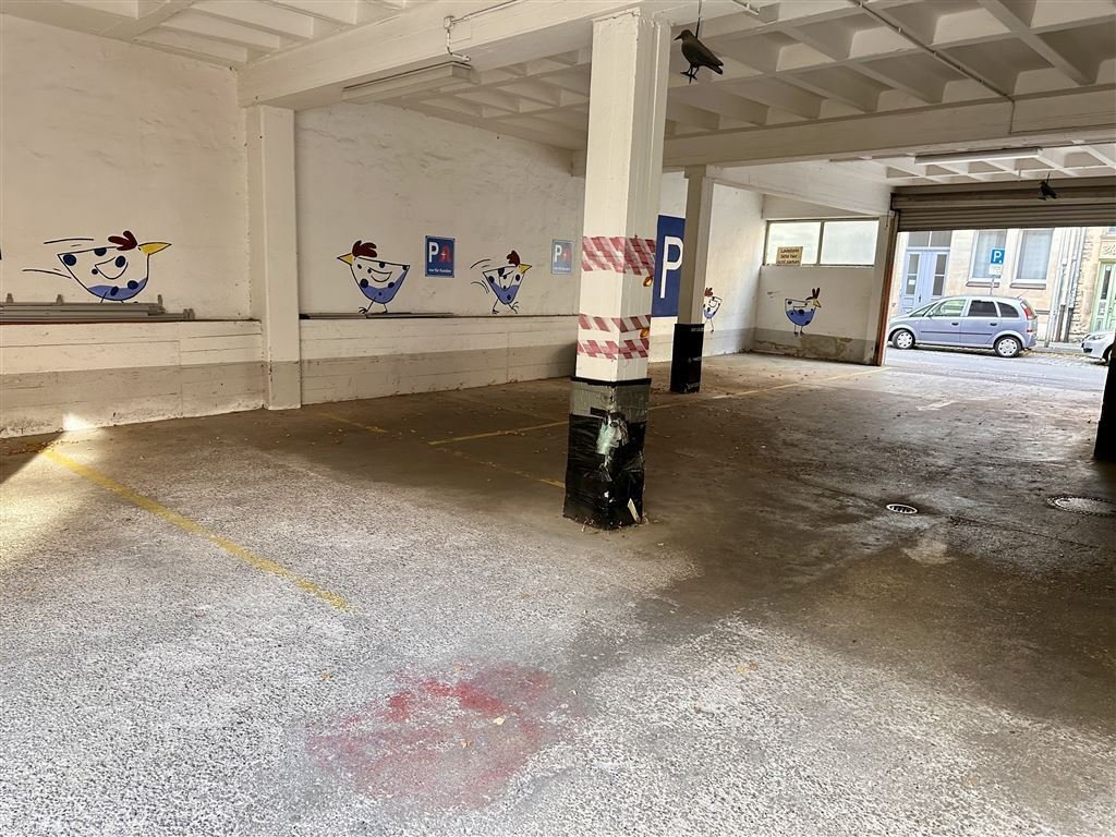 EntwicklungsObj: Tolle StadtVilla mit MFH (leer) Sanieren od. Abriss u NEUBAU, Stellpl., zzgl. kl. Parkhaus