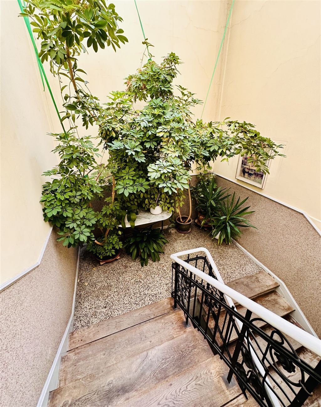 EntwicklungsObj: Tolle StadtVilla mit MFH (leer) Sanieren od. Abriss u NEUBAU, Stellpl., zzgl. kl. Parkhaus