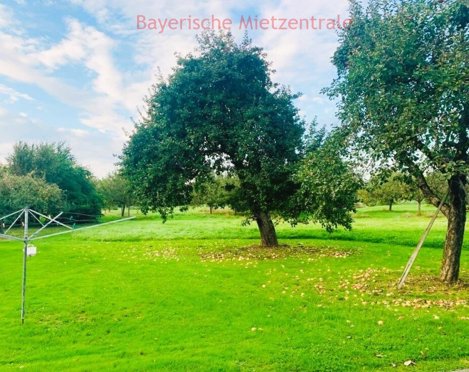 Garten mit altem Obstbaumbestand Garten mit altem Obstbaumbestand
